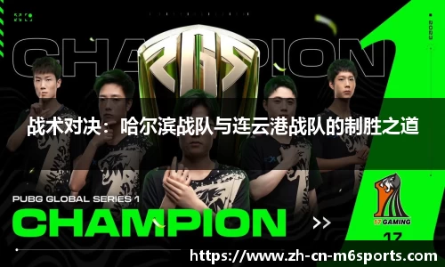 战术对决：哈尔滨战队与连云港战队的制胜之道