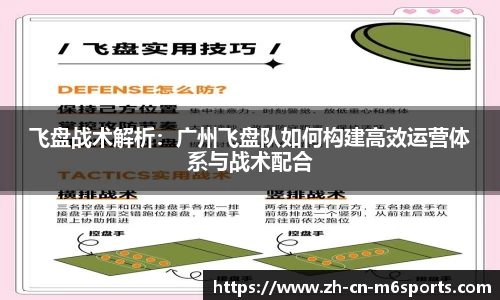 飞盘战术解析：广州飞盘队如何构建高效运营体系与战术配合
